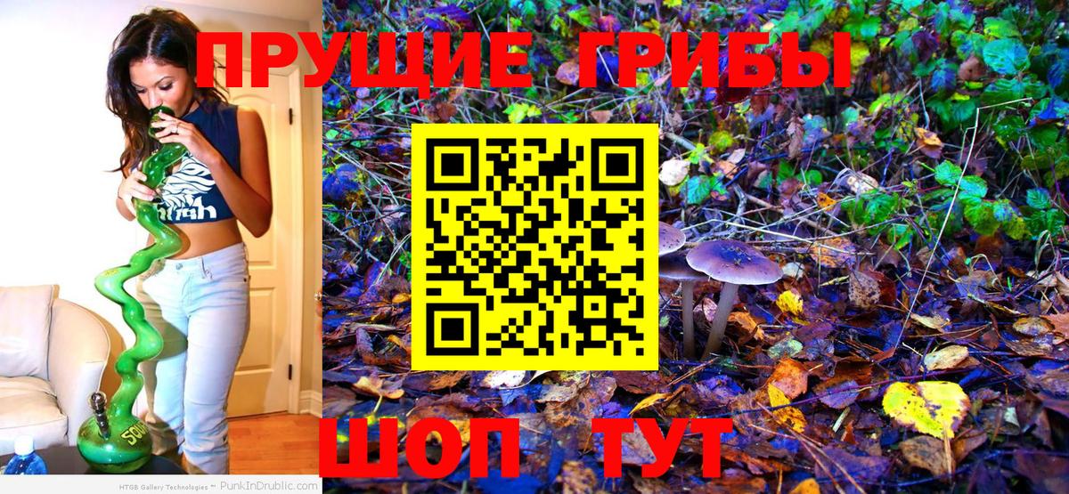 Галлюциногенные грибы MAGIC MUSHROOMS Куйбышев